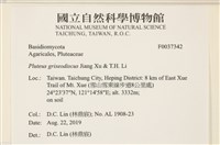 登錄號:F0037342藏品圖，第2張