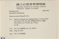 登錄號:F0037344藏品圖，第2張