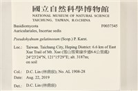 登錄號:F0037345藏品圖，第2張