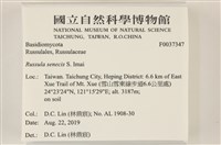 登錄號:F0037347藏品圖，第2張