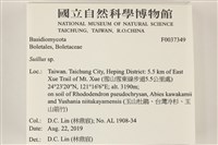登錄號:F0037349藏品圖，第2張