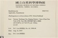 登錄號:F0037351藏品圖，第2張
