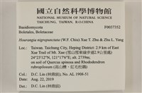 登錄號:F0037352藏品圖，第2張