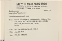 登錄號:F0037353藏品圖，第2張