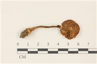 登錄號:F0037353藏品圖，第3張