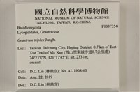 登錄號:F0037354藏品圖，第2張