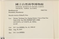 登錄號:F0037356藏品圖，第2張