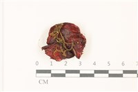 登錄號:F0037356藏品圖，第1張