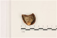 登錄號:F0037358藏品圖，第3張