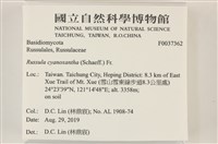 登錄號:F0037362藏品圖，第2張