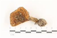 登錄號:F0037362藏品圖，第1張