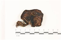 登錄號:F0037364藏品圖，第1張