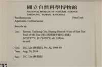 登錄號:F0037366藏品圖，第2張