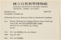 登錄號:F0037367藏品圖，第2張