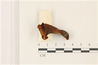 登錄號:F0037367藏品圖，第1張