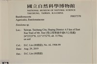 粉褶菌屬藏品圖，第2張