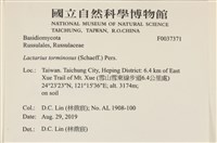 登錄號:F0037371藏品圖，第2張