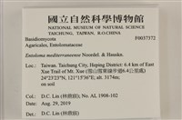 登錄號:F0037372藏品圖，第2張