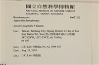 登錄號:F0037373藏品圖，第2張