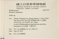 登錄號:F0037375藏品圖，第2張