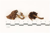 登錄號:F0037375藏品圖，第1張