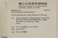登錄號:F0037376藏品圖，第2張