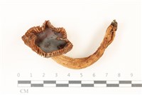 登錄號:F0037378藏品圖，第1張