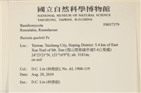 登錄號:F0037379藏品圖，第2張