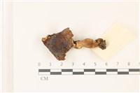 登錄號:F0037379藏品圖，第1張