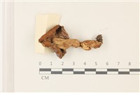 登錄號:F0037379藏品圖，第3張