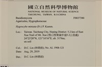登錄號:F0037380藏品圖，第2張