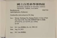 登錄號:F0037381藏品圖，第2張