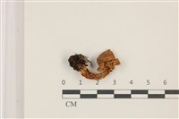 登錄號:F0037381藏品圖，第1張