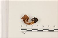登錄號:F0037381藏品圖，第3張
