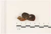 登錄號:F0037382藏品圖，第1張