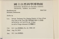 登錄號:F0037383藏品圖，第2張