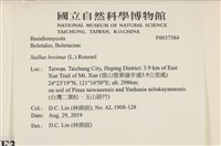 登錄號:F0037384藏品圖，第2張