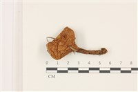 登錄號:F0037384藏品圖，第1張