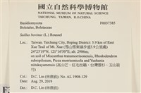 登錄號:F0037385藏品圖，第2張