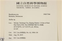 登錄號:F0037386藏品圖，第2張