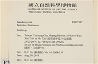 登錄號:F0037387藏品圖，第2張