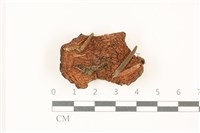 登錄號:F0037387藏品圖，第1張
