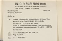 登錄號:F0037388藏品圖，第2張