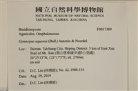 登錄號:F0037389藏品圖，第2張