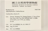 登錄號:F0037390藏品圖，第2張