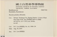 登錄號:F0037392藏品圖，第2張