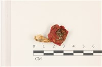 登錄號:F0037392藏品圖，第1張