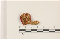 登錄號:F0037392藏品圖，第3張