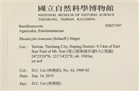 登錄號:F0037397藏品圖，第2張