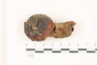 登錄號:F0037397藏品圖，第1張